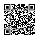 大灣區(qū)專員陳潔玲向越南當地企業(yè)宣傳大灣區(qū)商機和香港優(yōu)勢