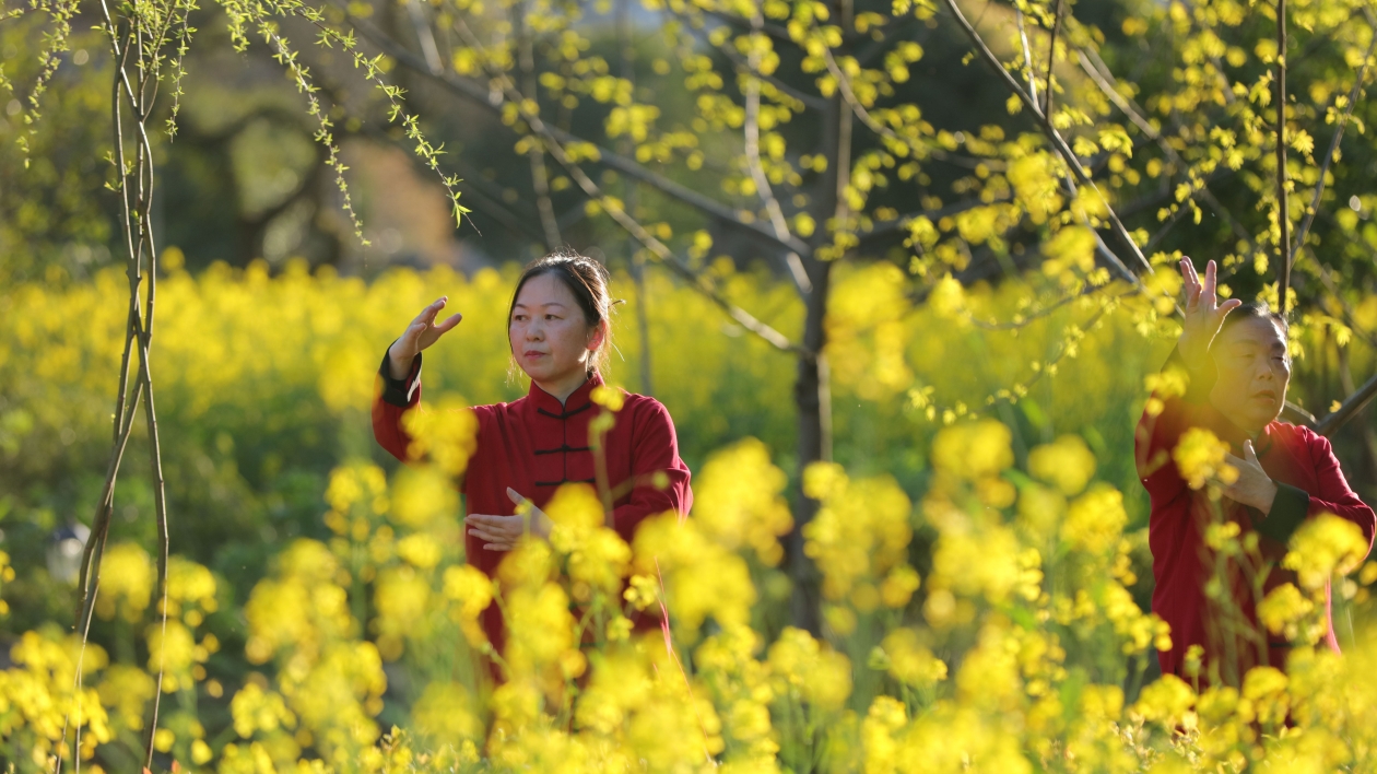 湖南張家界：花海田園舞太極