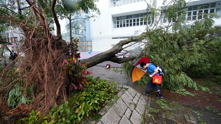 【追蹤報道】截至上午9時 63人風(fēng)暴期間受傷求診