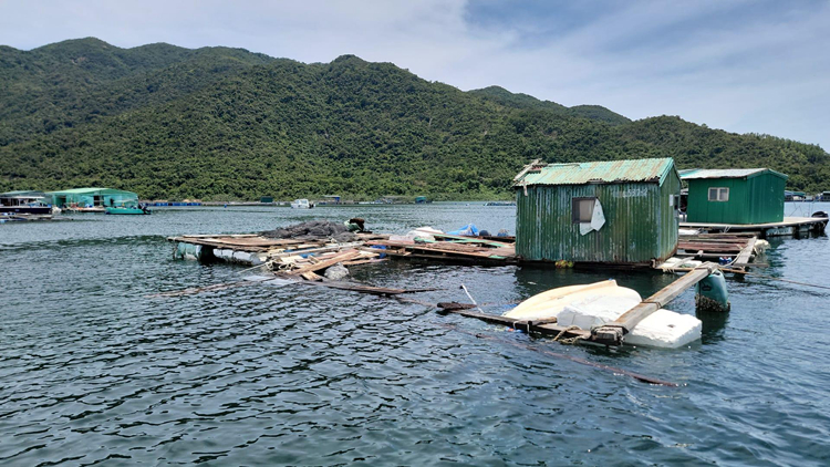 受雨災(zāi)影響農(nóng)戶、養(yǎng)魚戶及漁民明起可申請緊急救援基金