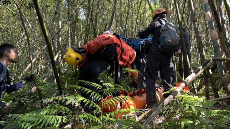 臺(tái)灣一登山團(tuán)遭蜂群攻擊 致2死9傷