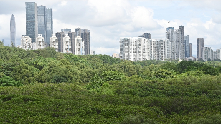 即將施行！深圳率先探索自然災(zāi)害綜合防治立法