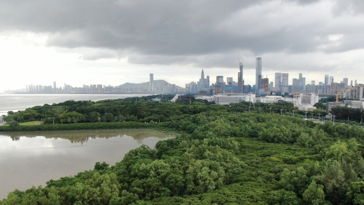 冷空氣今晚抵粵，深圳周五起多雲(yún)接棒，「雨雨雨」又陪大家過周末？