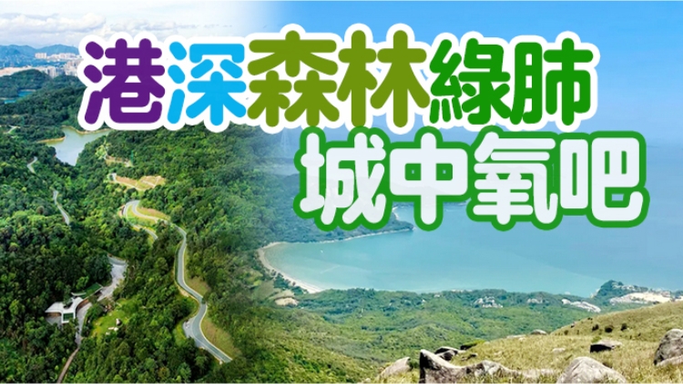 九九重陽節(jié)，快帶上父母來場港深登高之旅吧……