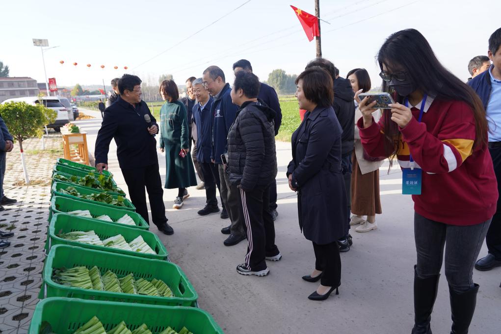 粵港澳大灣區(qū)主流媒體走進(jìn)山西臨汾：「廣州菜心」成採訪亮點(diǎn)