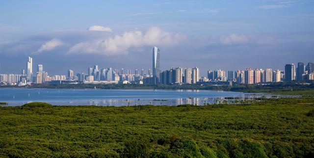 馬海鵬：深圳生態(tài)保護實踐十分超前