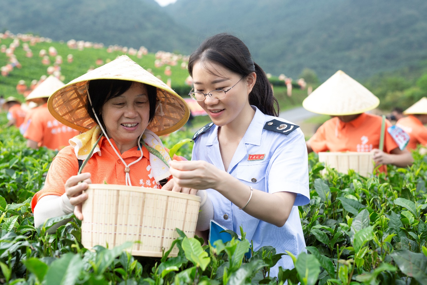 稅惠守護「家鄉(xiāng)味」 廣東現(xiàn)代農業(yè)與食品產業(yè)煥發(fā)更強「食力」