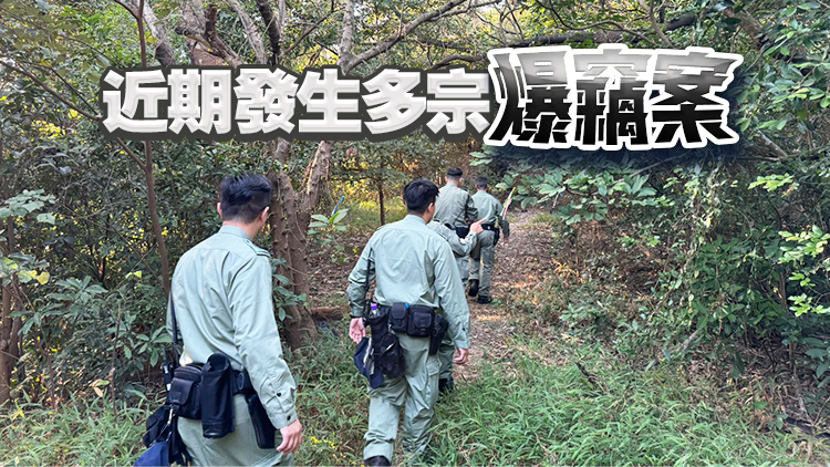 將軍澳警區(qū)一連8日反爆竊行動 打擊預(yù)防爆竊罪行