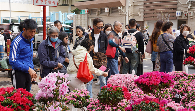 有片 | 市民趁周末備買(mǎi)年花 花墟人如潮湧