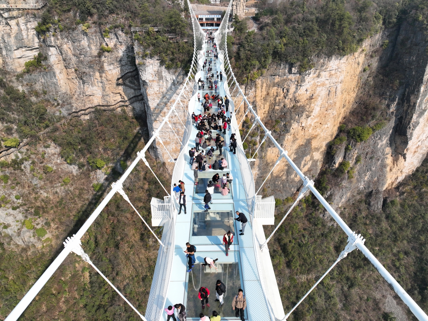 逛玻璃橋 溜滑索 玩蹦極 張家界大峽谷景區(qū)迎春節(jié)旅遊高峰