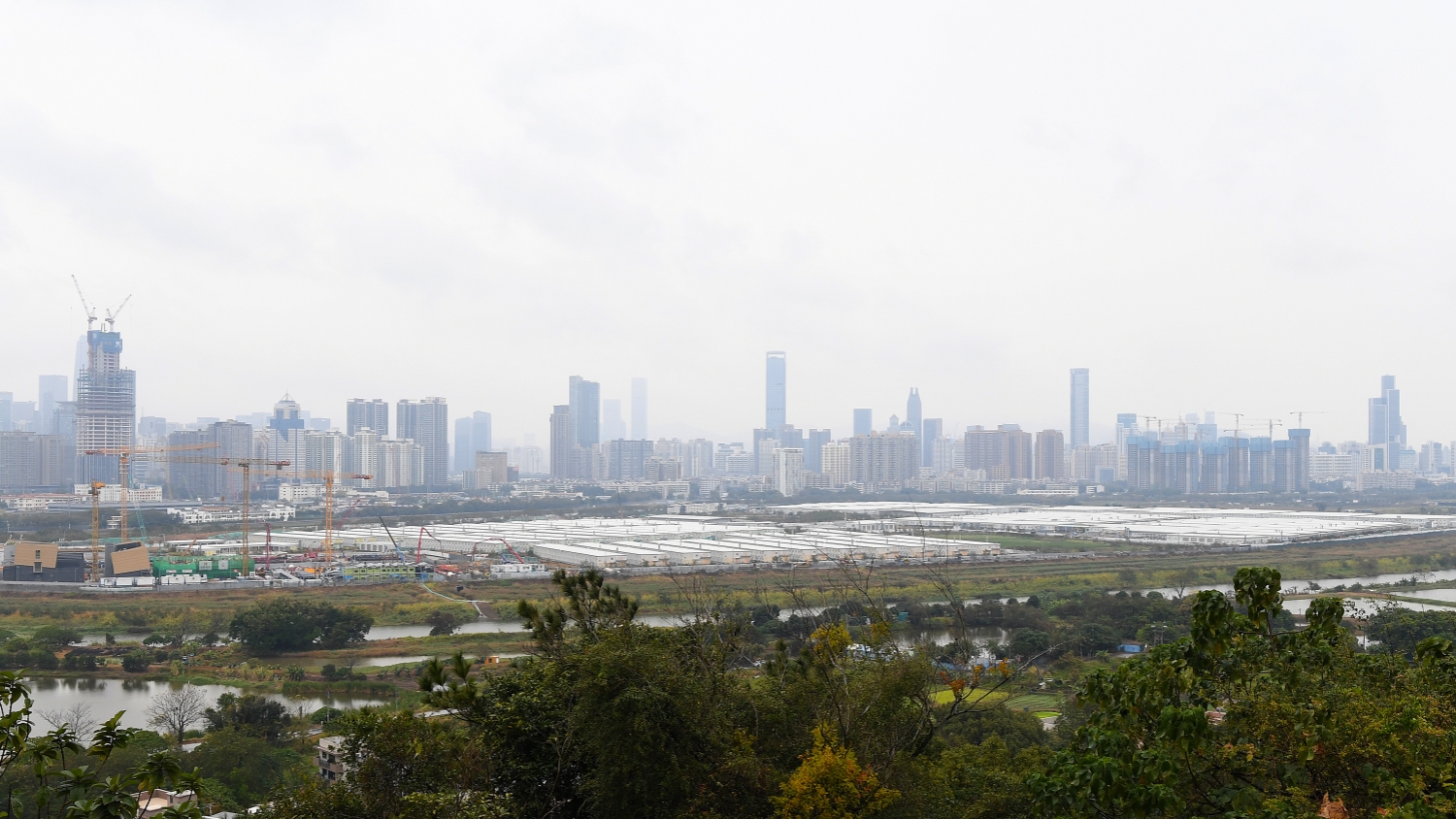 深港兩地全國政協(xié)委員發(fā)聲 更快建設(shè)河套深港科技創(chuàng)新合作區(qū)