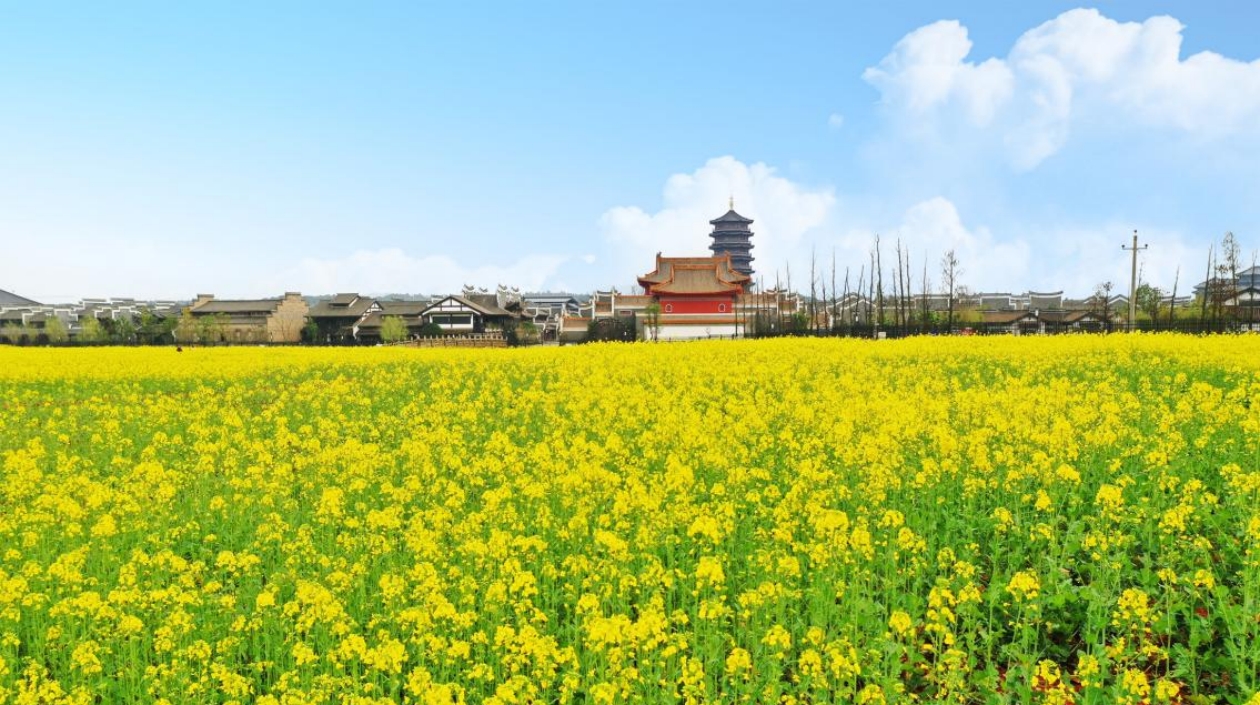 一秒到盛唐 長(zhǎng)沙銅官窯古鎮(zhèn)「花朝遊園節(jié)」解鎖春日國(guó)潮玩法