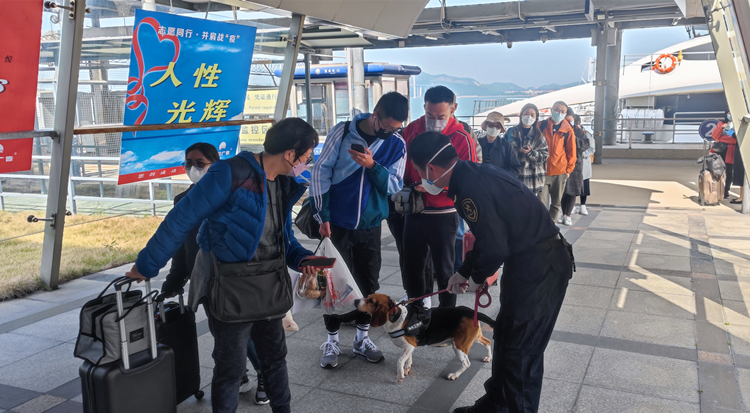 南沙客運港至香港機場航線順利復(fù)航