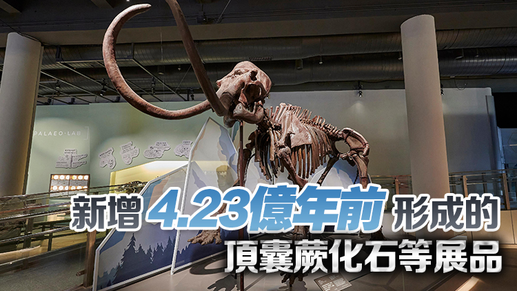 科學館古生物展4·6起局部關(guān)閉 真猛獁象化石黔魚龍化石等將歸還