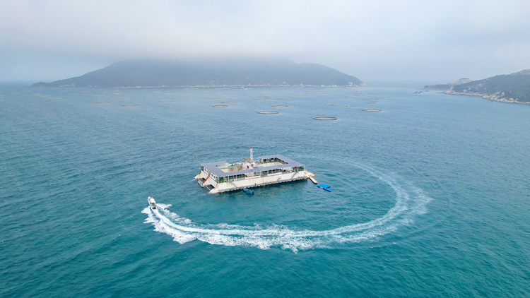 有片 | 登上「澎湖號」 去看霍啟剛關(guān)注的新能源海洋牧場平臺