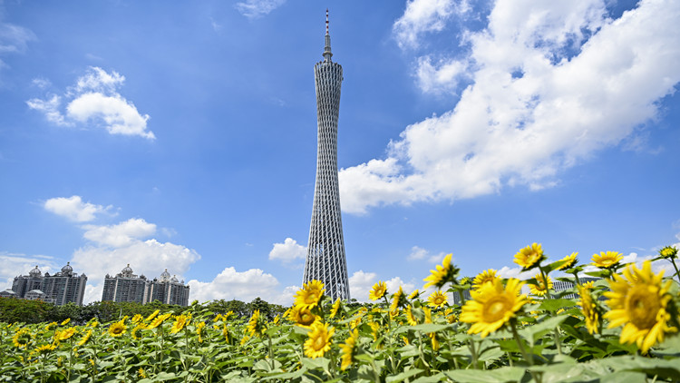 全國(guó)電影（廣州）交易會(huì)今日在增城舉辦