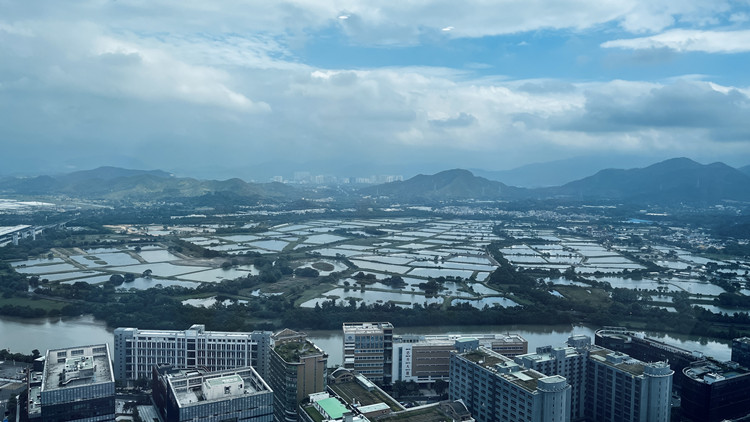 香港居民在河套深圳園區(qū)工作享個稅優(yōu)惠