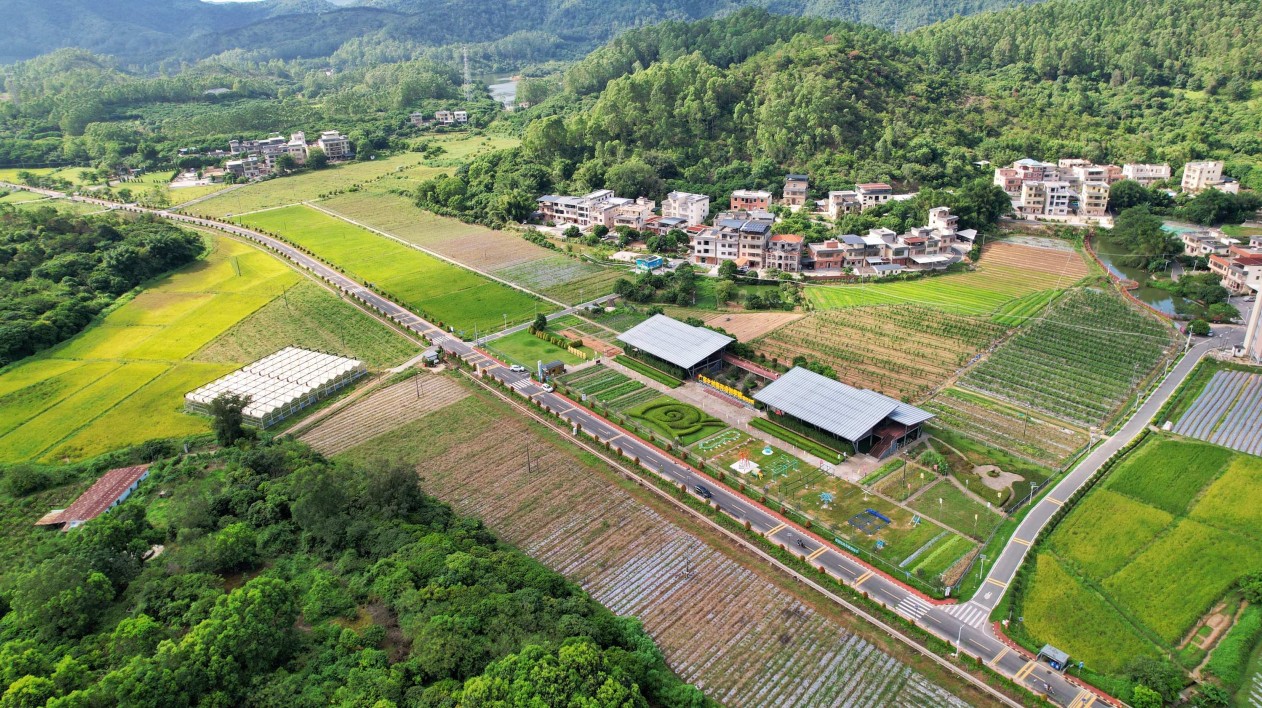 廣東謀劃實施新一輪「四好農(nóng)村路」高質(zhì)量發(fā)展