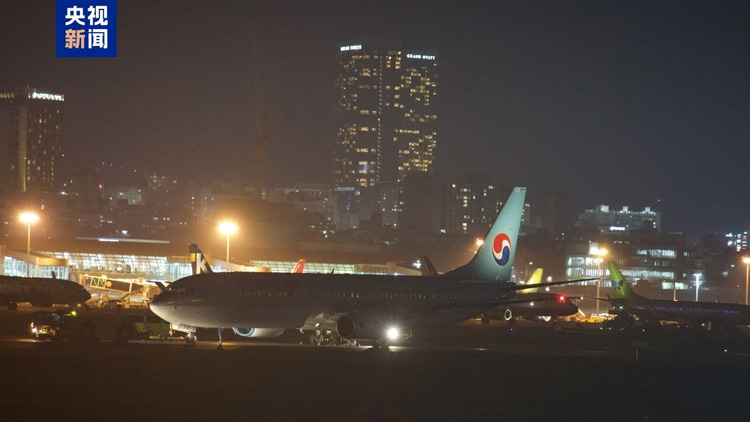 大韓航空一客機(jī)起飛途中遇故障 濟(jì)州機(jī)場航班全面中斷