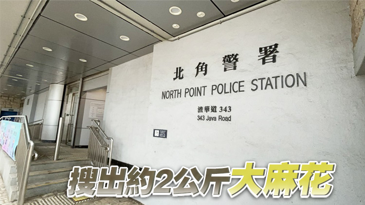 警方上水石湖新村截查19歲男子 檢值50萬(wàn)元大麻花