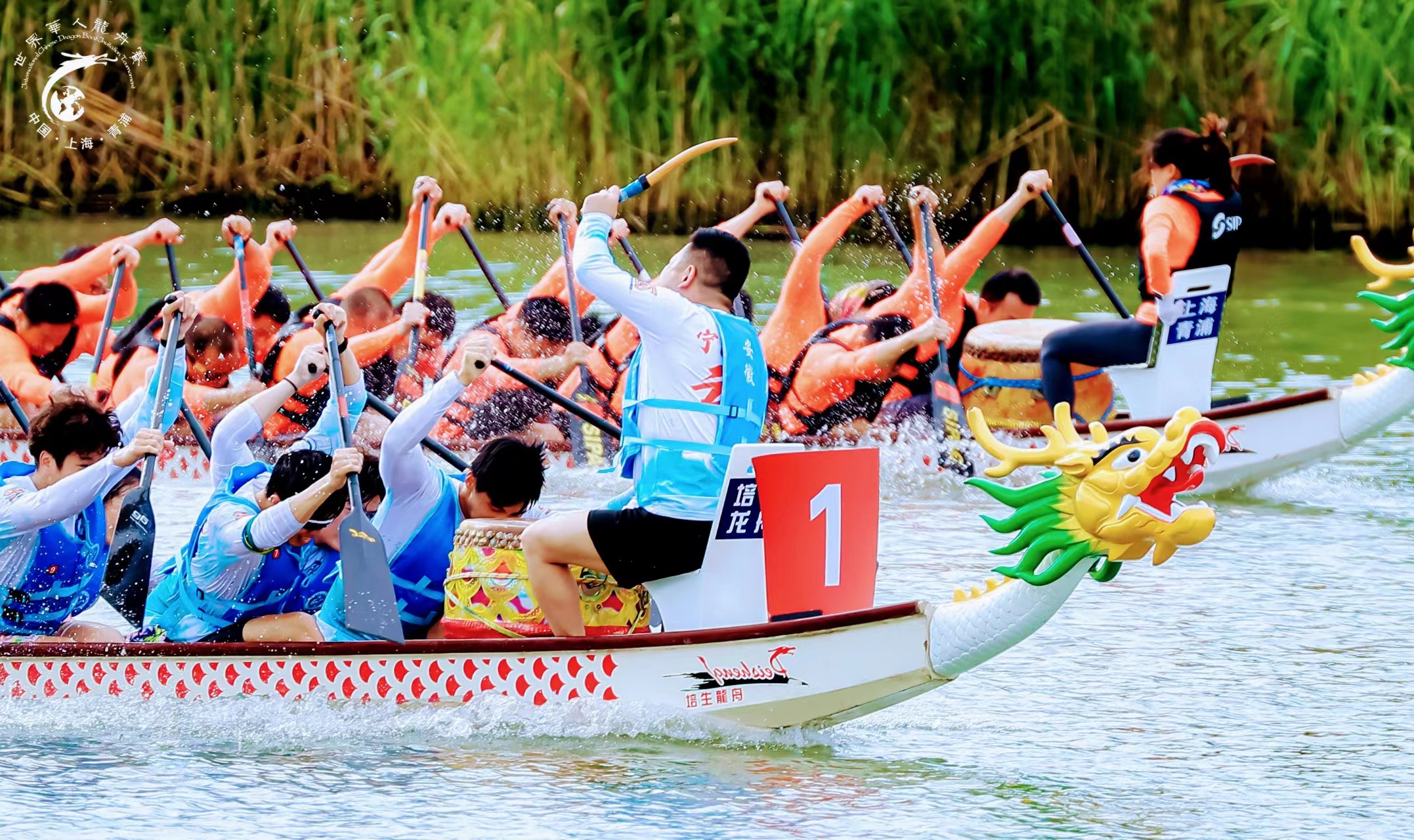 相聚青浦水鄉(xiāng)   一展水上「蛟龍」英姿