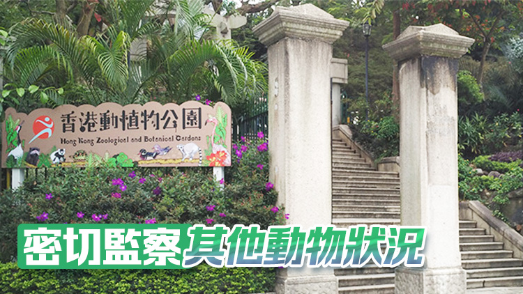 香港動(dòng)植物公園8隻猴子同日死亡 14日起暫停開(kāi)放園內(nèi)哺乳類動(dòng)物區(qū)