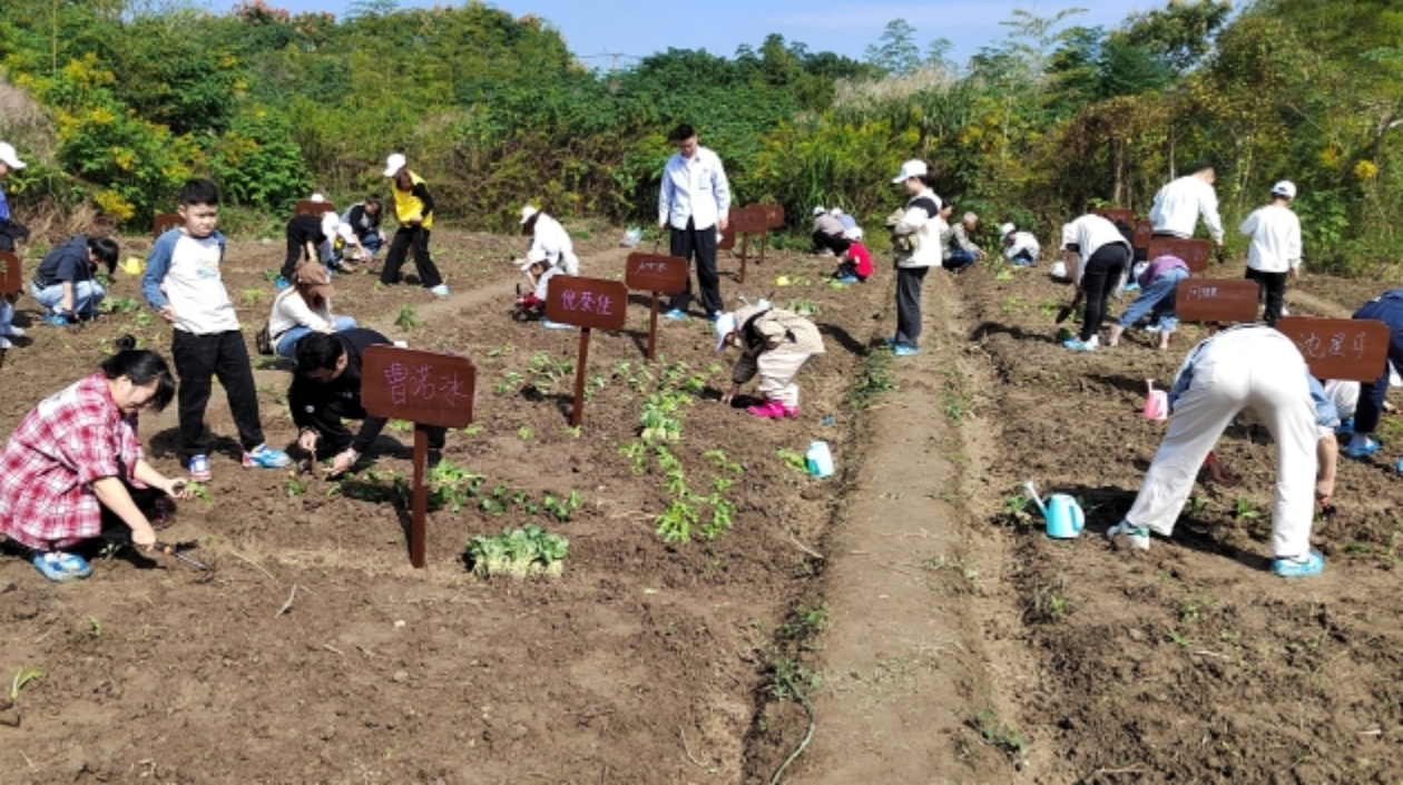 浙江吳興：共富農(nóng)場架起青少年助人自助橋樑