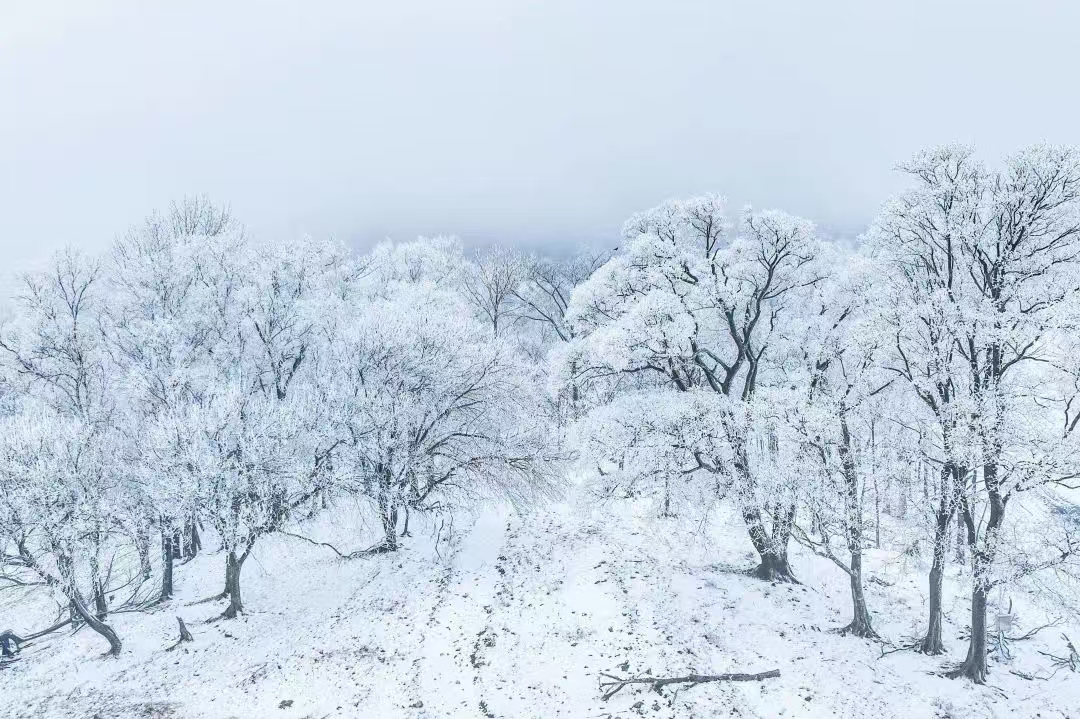 吉林北大湖滑雪度假區(qū)迎來今冬第一場雪