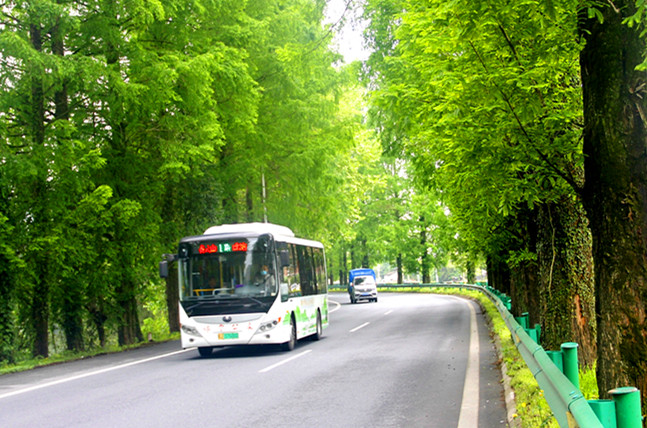 皖休寧縣：推進(jìn)生態(tài)建養(yǎng)  打造綠美公路