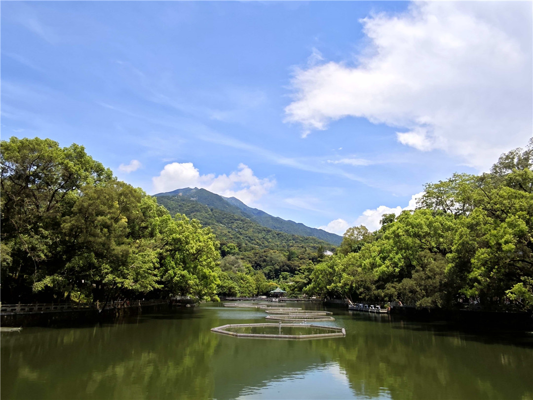 號外！羅浮山景區(qū)「文旅+非遺」，入選風(fēng)景名勝區(qū)文旅融合典型案例