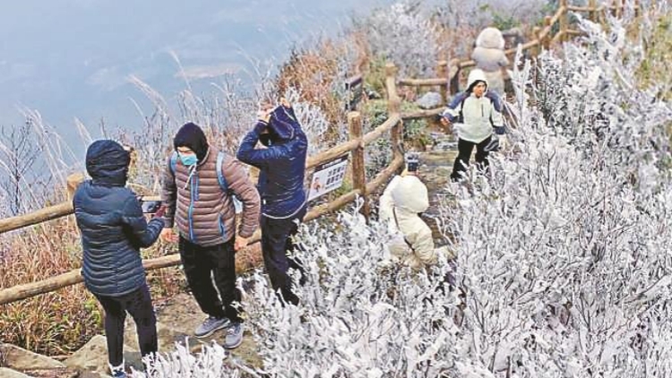 廣東最低氣溫跌破0℃ 粵北山區(qū)現(xiàn)冰掛霧凇