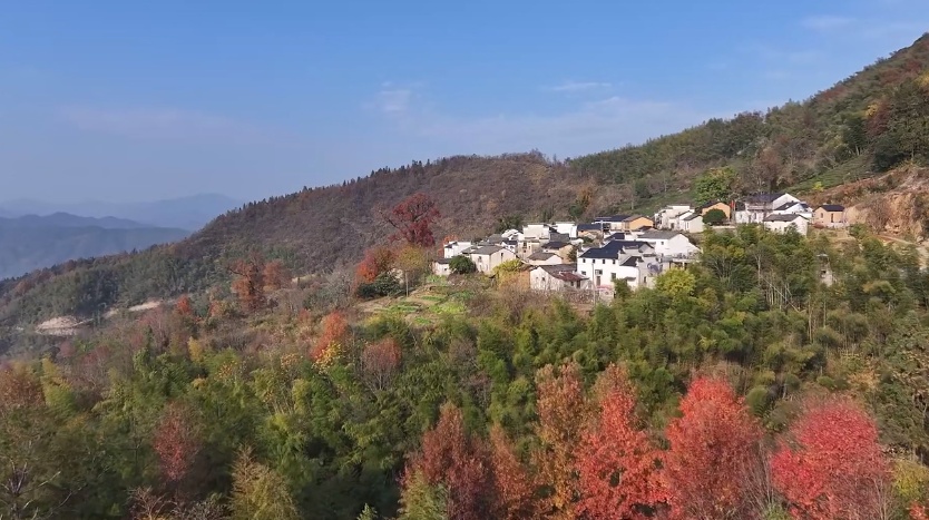 賞紅葉觀雲(yún)海 皖休寧金龍山冬景美如畫