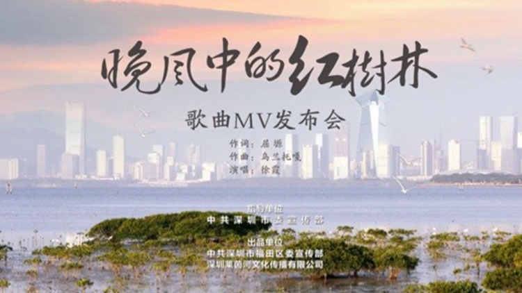 有片｜共賞生態(tài)與藝術的和諧交響 歌曲《晚風中的紅樹林》MV精彩亮相