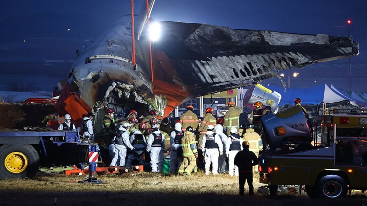 最終確認(rèn)179人遇難 韓國(guó)失事客機(jī)僅2人獲救