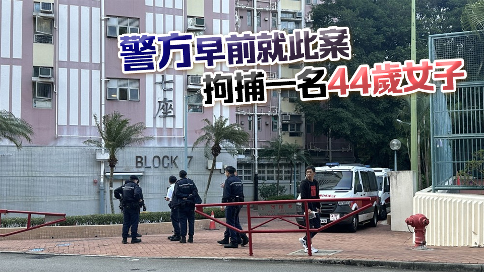 警方拘捕56歲男子 疑涉屯門寶田邨謀殺案　