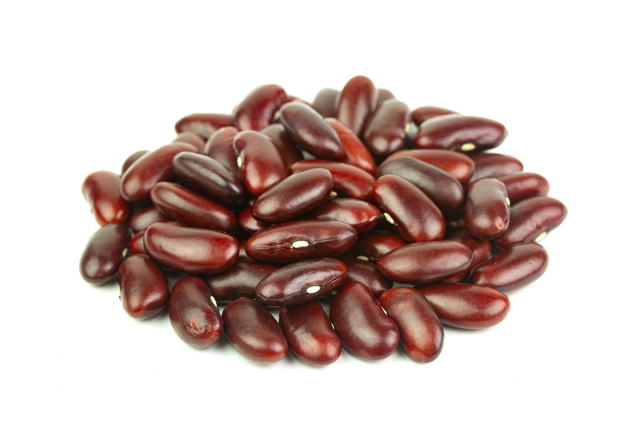 kidney-bean-6564631_1280.jpg