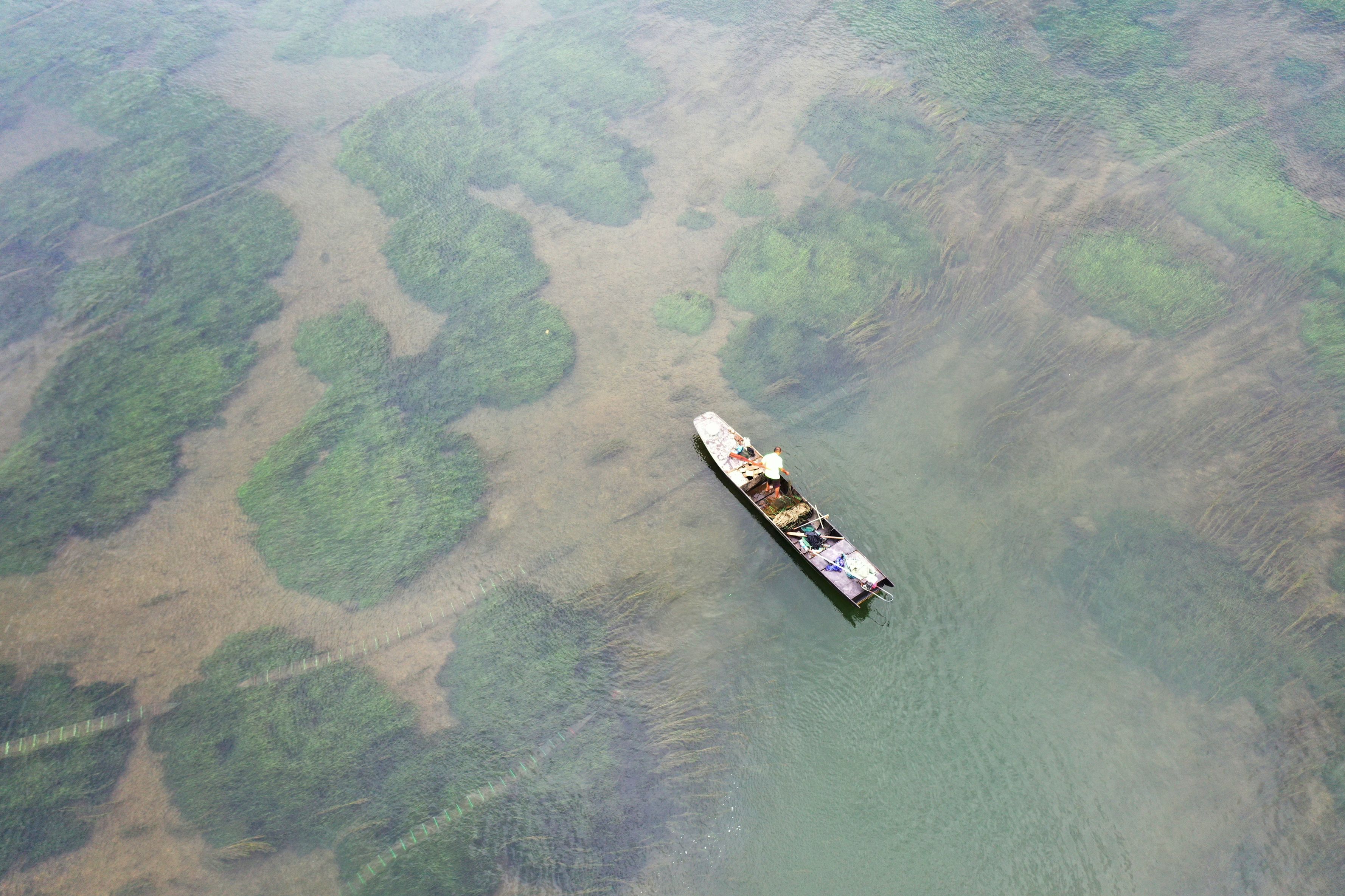 5.漁民在桂江中捕魚（廖偉 攝）.jpg